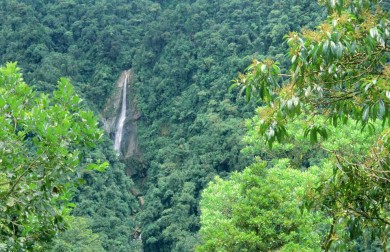 Rừng mưa nhiệt đới ảnh hưởng tới môi trường